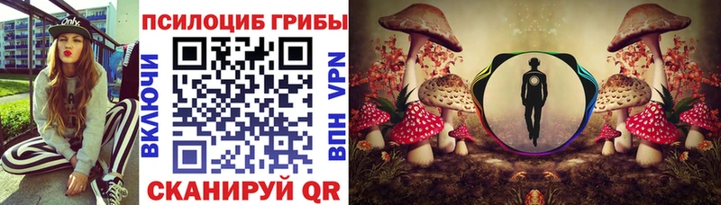 Купить где  Горно-Алтайск  Псилоцибиновые грибы Magic Shrooms 